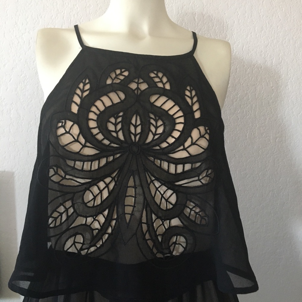 The Impecable Pig | Black Chiffon Dress, Medium - Picture 2 of 16